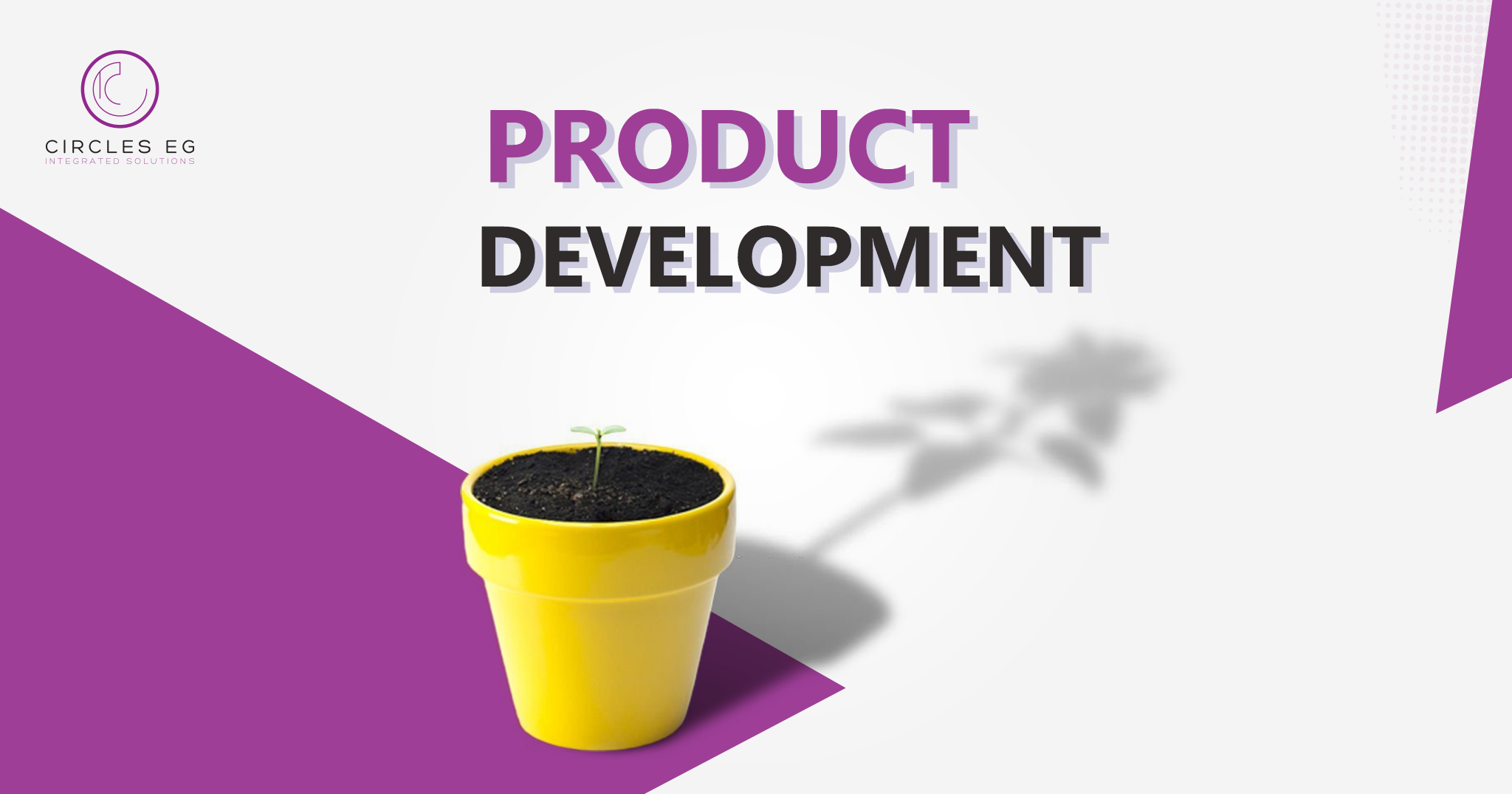 Product Development